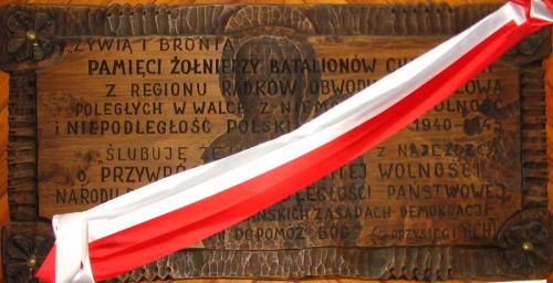 Tablica poświęcona pamięci żołnierzy Batalionów Chłopskich, znajdująca się w kruchcie bocznej bebelskiego kościoła. Foto W. Cichecki.
